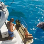 Grand Theft Auto VI: Rockstar Confirms Structural Shift to Chapter-Based Narrative