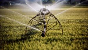 The Great Thirst: The Escalating Conflict Between AI Infrastructure and Local Water Security