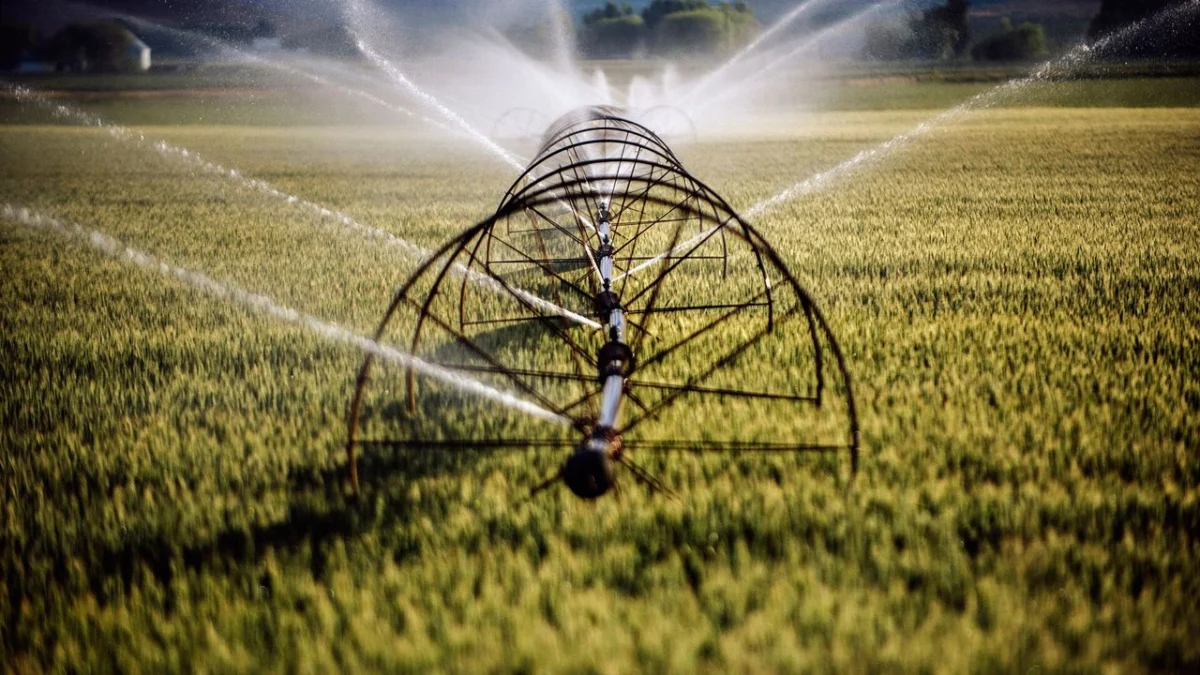 The Great Thirst: The Escalating Conflict Between AI Infrastructure and Local Water Security