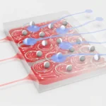 Liquid Logic: How Physicists Are Harnessing Chaotic Colloidal Arrays for Next-Generation Computing