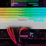 The Great DRAM Divide: Evaluating the Performance and Potential of CXMT’s DDR5 Memory