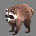 The Rise of the Round: How Jimothy the Raccoon Conquered the Gaming World