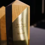 Celebrating Excellence: Final Call for Nominations for the GamesIndustry.biz Special Awards