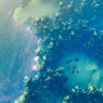 Mastering the Tenth Realm: A Comprehensive Guide to Valheim World Seeds