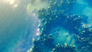 Mastering the Tenth Realm: A Comprehensive Guide to Valheim World Seeds