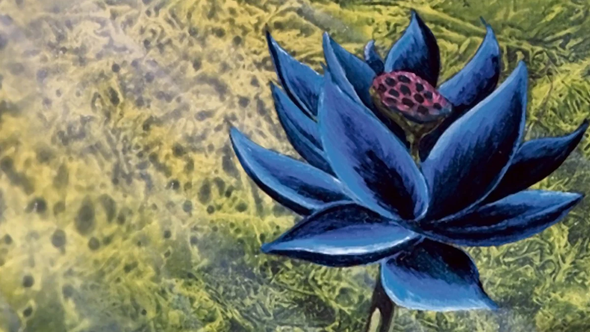 The $3 Million Holy Grail: How a Pristine Black Lotus Reclaimed Its Throne