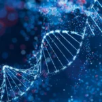 The Dawn of Bio-Computation: Maynooth University’s Breakthrough in DNA Molecular Computing