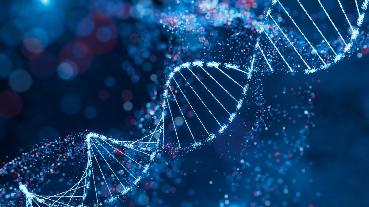 The Dawn of Bio-Computation: Maynooth University’s Breakthrough in DNA Molecular Computing