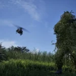 The Wardogs Phenomenon: How a $40 Mid-Market Hit is Reshaping the Steam Landscape